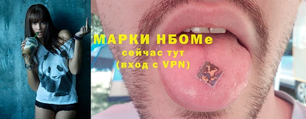 сатива Беломорск