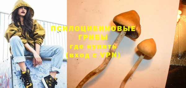 сатива Беломорск