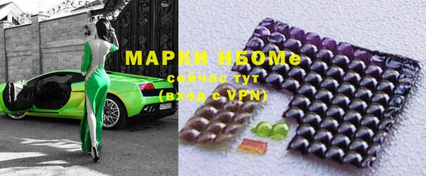 сатива Беломорск