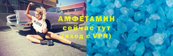 сатива Беломорск