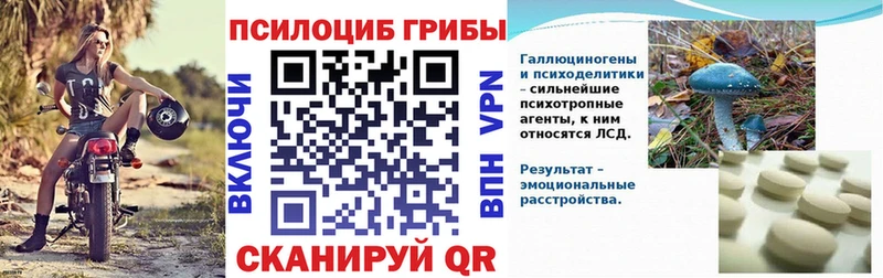Псилоцибиновые грибы Cubensis  где найти наркотики  Белгород 